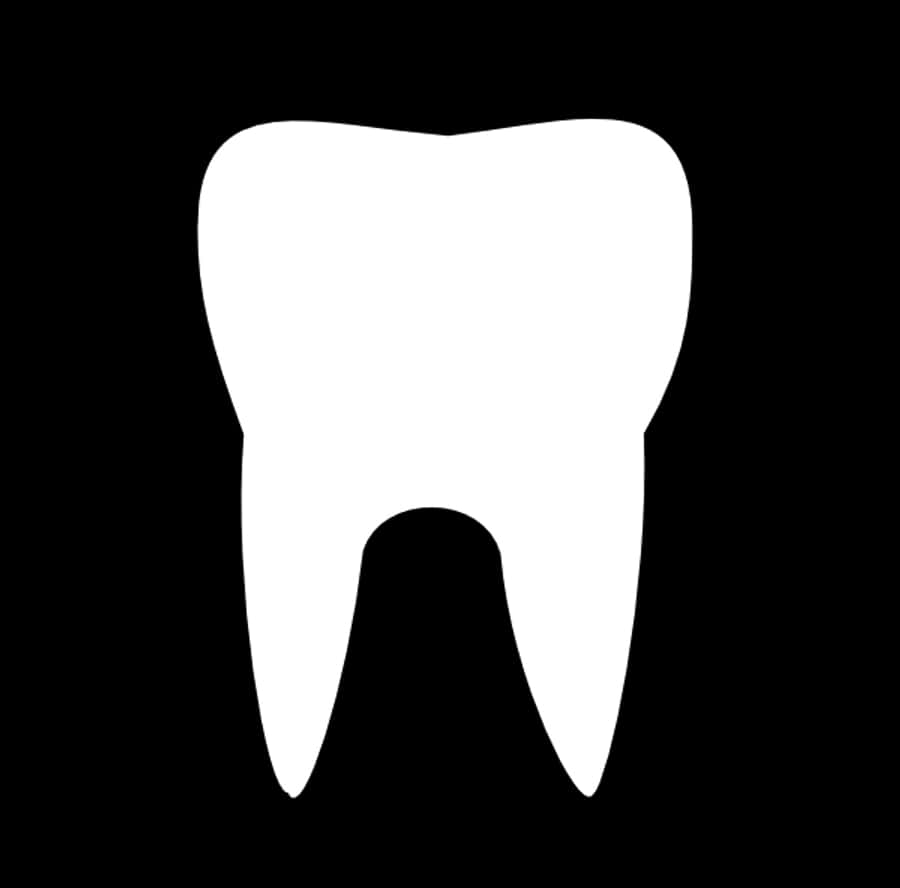 Clipart Tooth Outline , Png Download - Human Tooth, Transparent Png