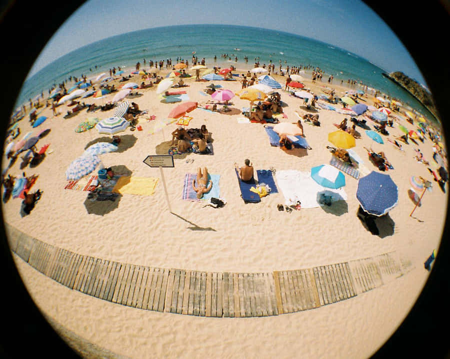Taucheein in die wunderschönen Fisheye-Bilder.
