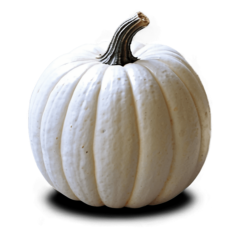 White Pumpkin Stack PNG sqr79