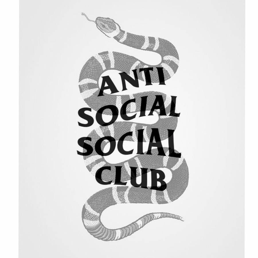 AntiSocial Social Club Snake skulle kunna översättas till "Anti Social Social Club-orm" på svenska. Detta skulle vara lämpligt för en dator eller mobil bakgrund som visar Anti Social Social Clubs snirkliga orm-logotyp.