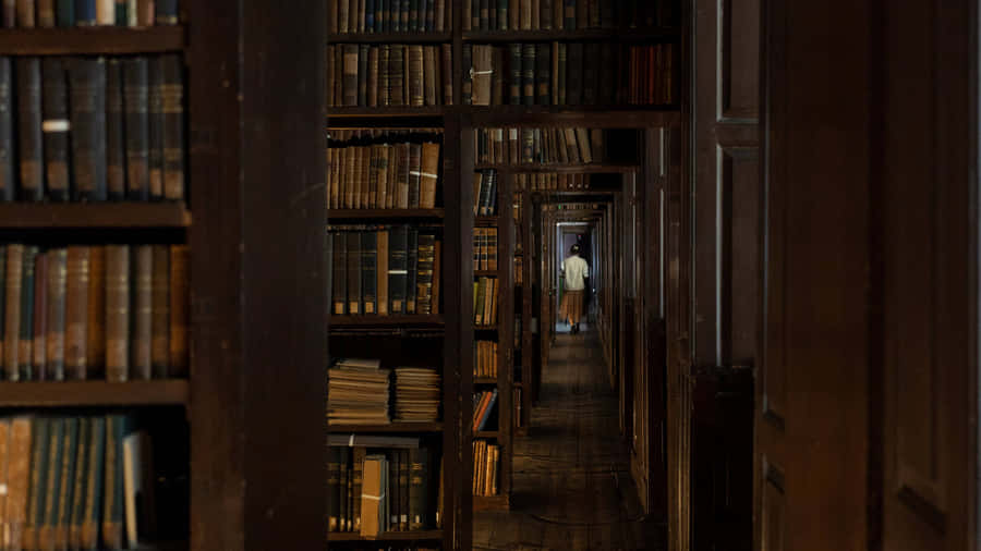 Mysteriöser Bibliothekskorridor