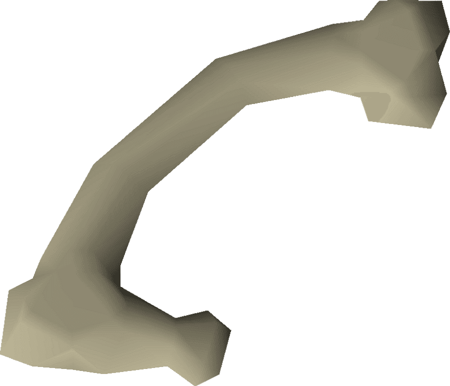 3 D Rendered Human Femur Bone