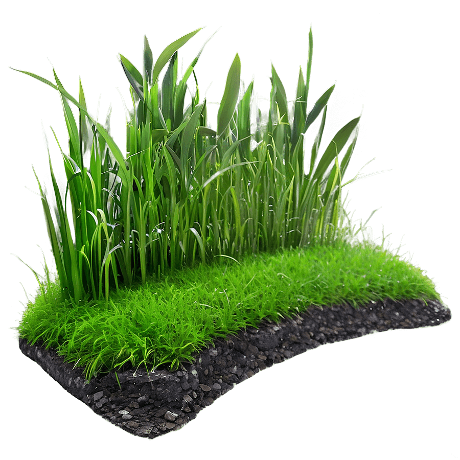 Large Grass Patch PNG 2
