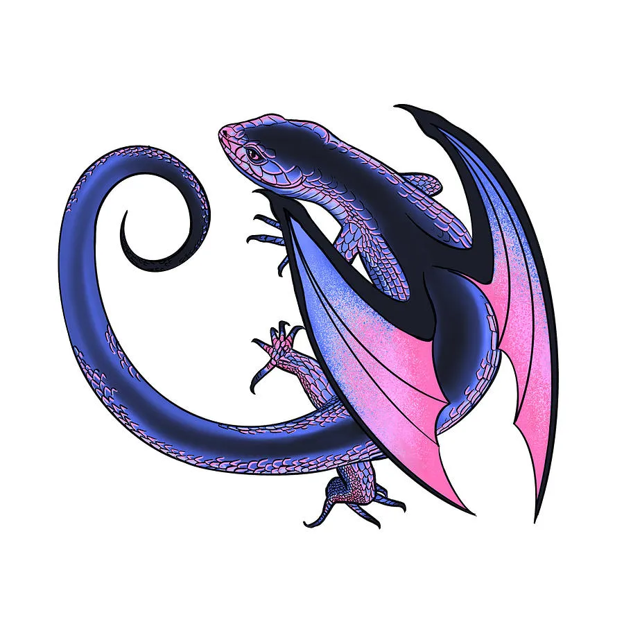 Omnisexual