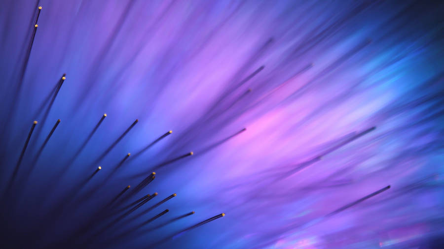 Einelila und blaue Blume mit vielen Stacheln.