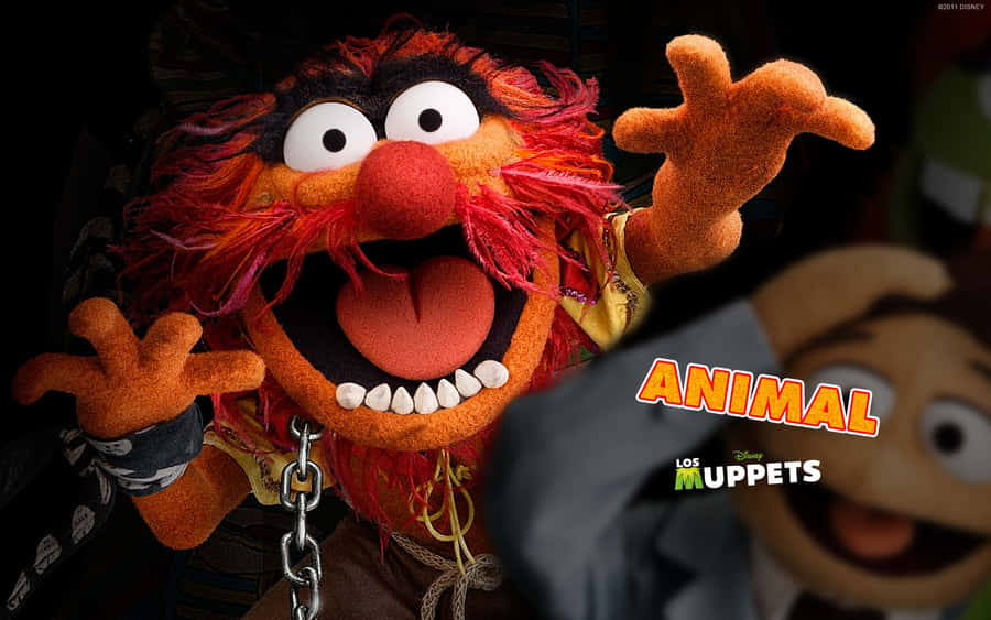 Wallpaper Muppet Animal