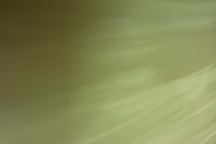 AbstratoSutil em Fundo Verde Oliva.