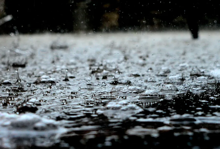 Rain Nature Raindrops