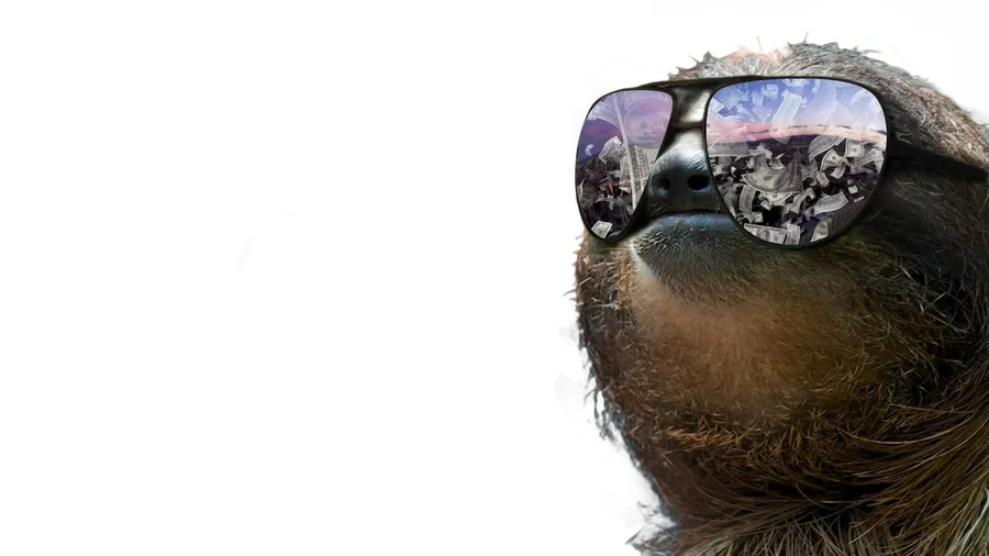 Sloth background