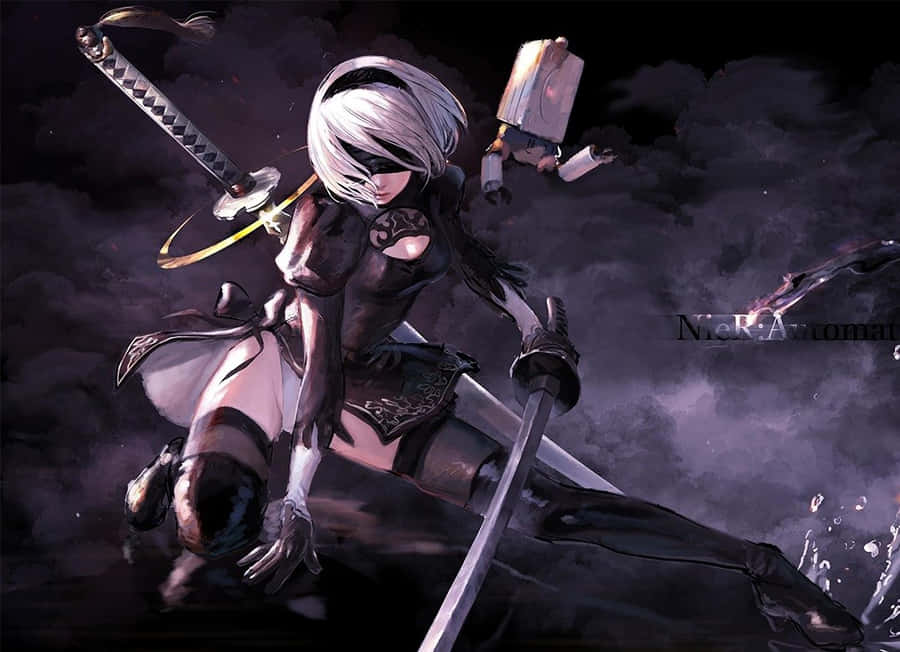 2b background