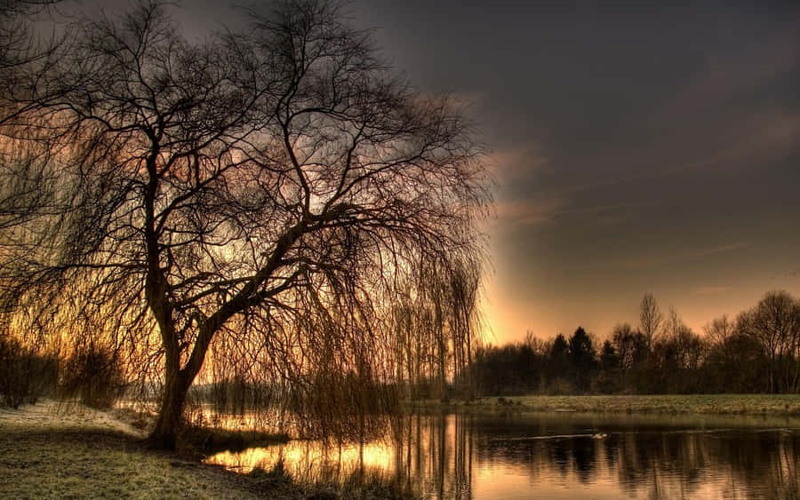Efterårsaften2560 x 1600 tapet