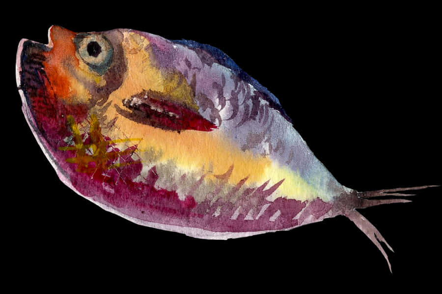 Vector Freeuse Library Painting Illustration Water - Fish Painting Png