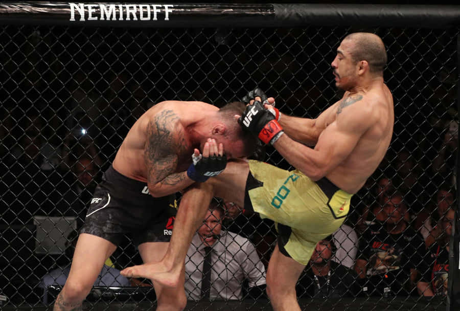 RenatoMoicano Vs José Aldo