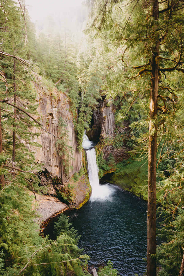 Naturhintergrund