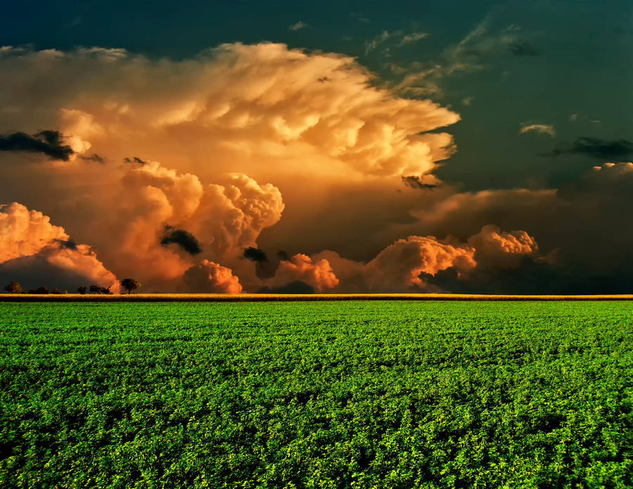 HochauflösendeWolkenfelder