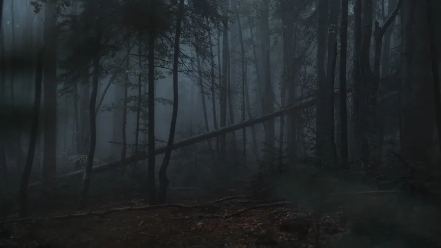 Gloomy