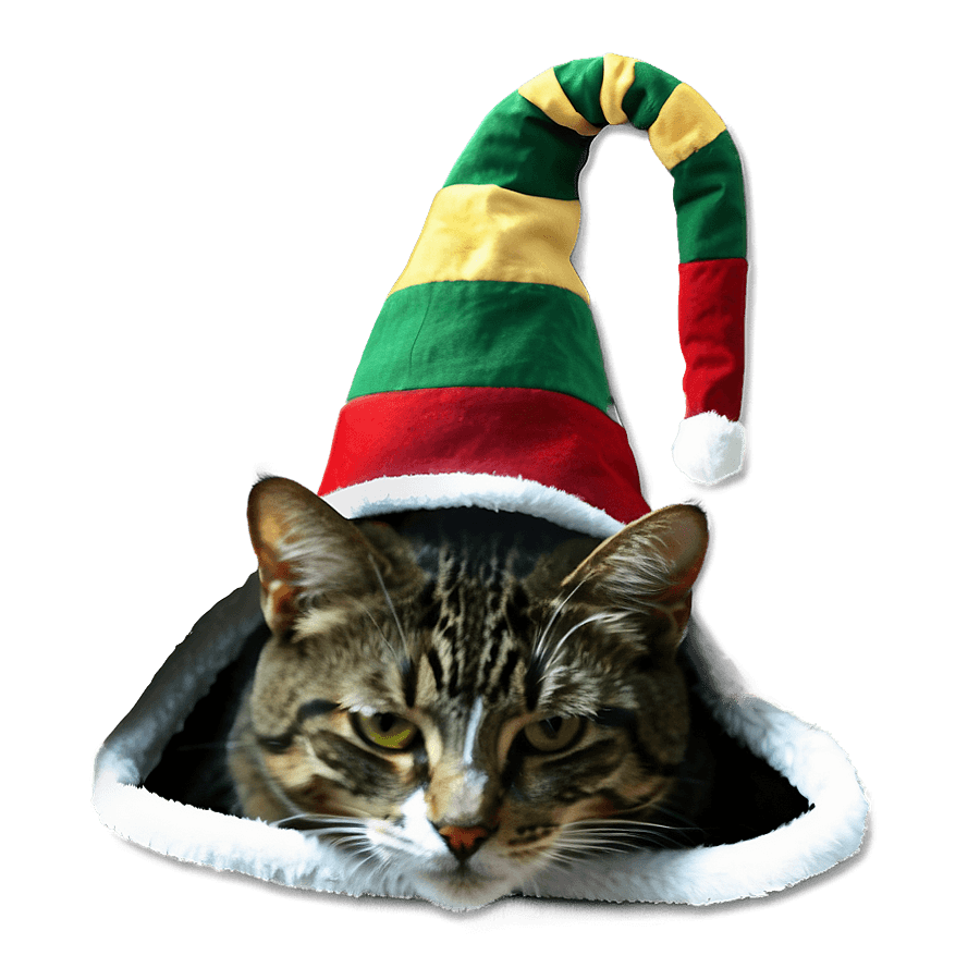 Elf Hat for Cat PNG liu