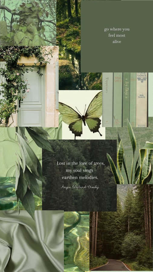 Erdige Inspiration Moodboard