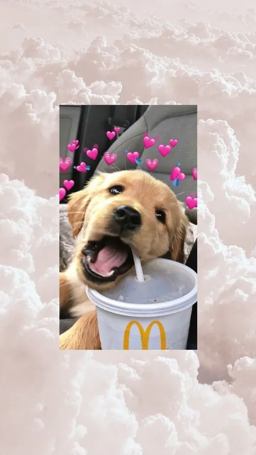 Dog Iphone