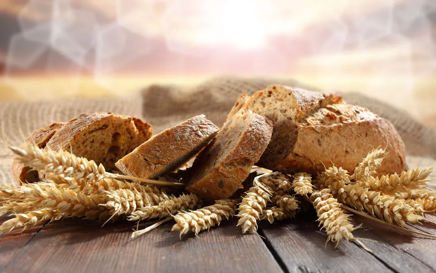 Bread background