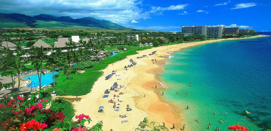 Hawaii Beach
