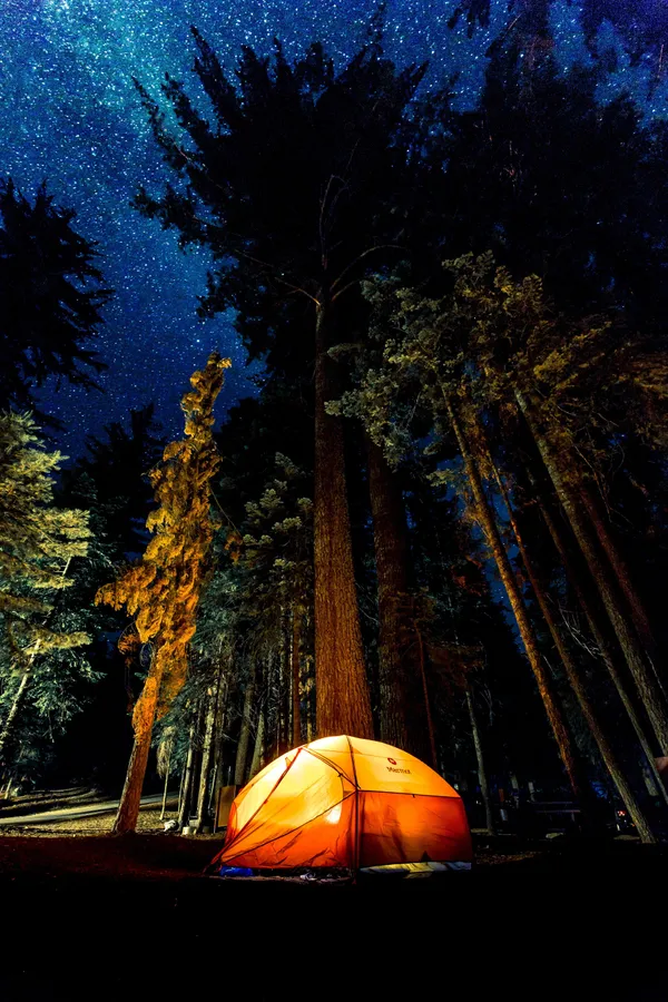 Camping Background