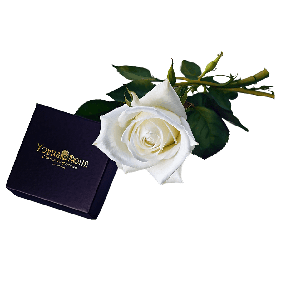 Romantic White Roses Gift PNG nbj36