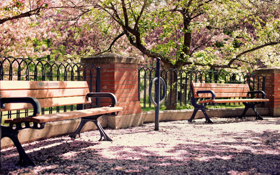Man Made Bench HD Wallpaper | Background Image