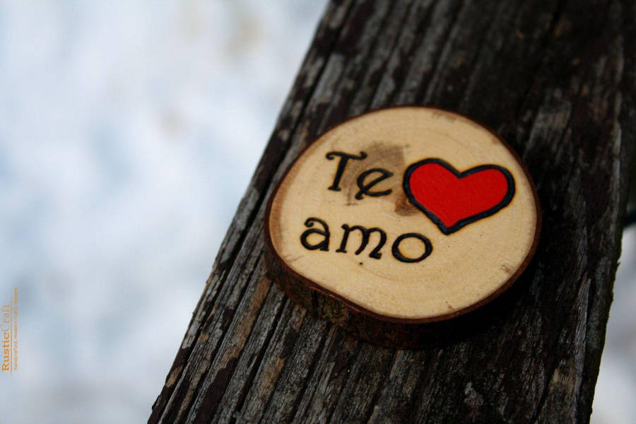 Tronco d'albero Te Amo