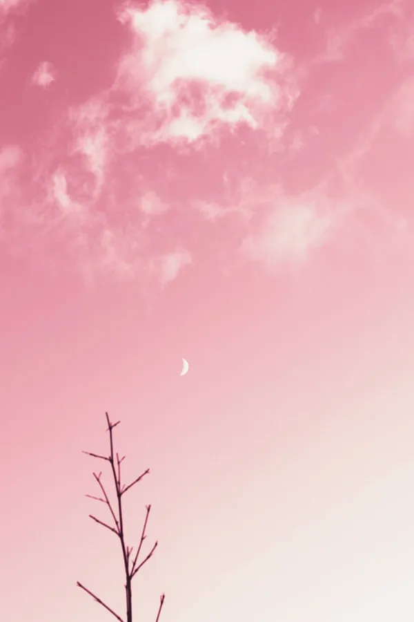 Blush Background