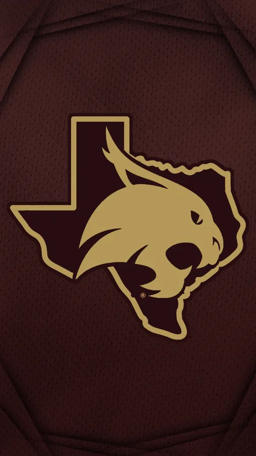 Texas Iphone
