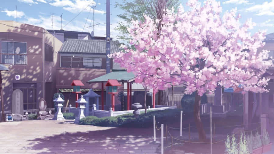 AnimeCherry Blossom Fence Baggrund.
