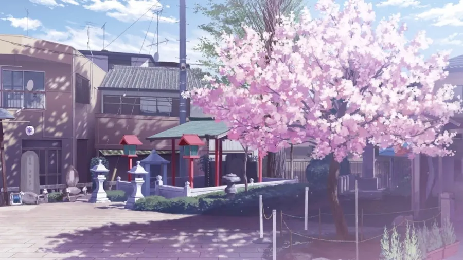 Anime Cherry Blossom Background