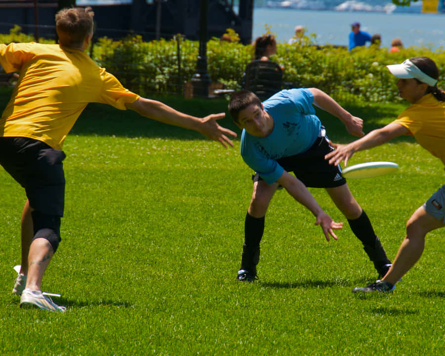Den Thrower 1080p Ultimative Frisbee Baggrund Til Skrivebordet