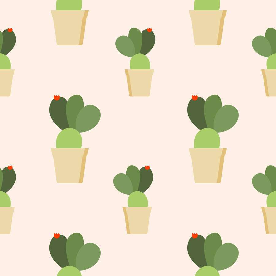 Cactus Pastello