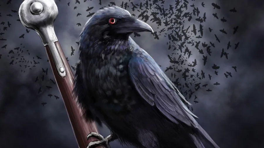Raven background