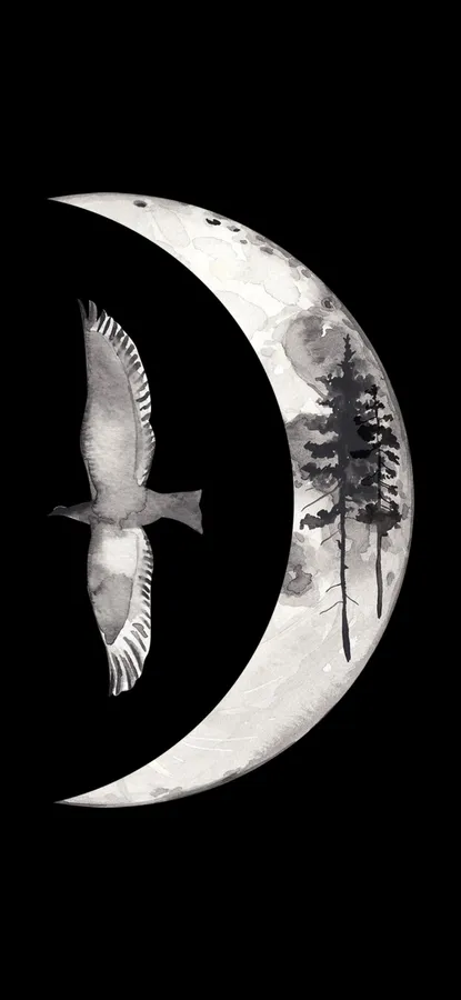 1080x2340