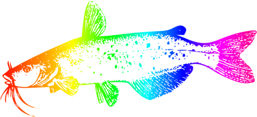 Colorful Catfish Illustration