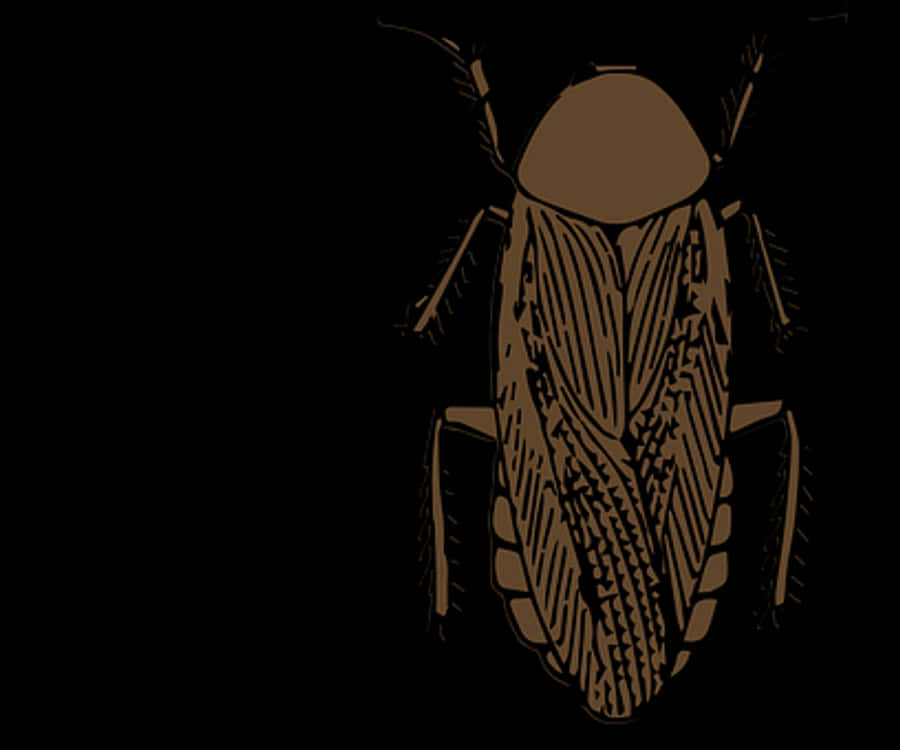 Stylized Insect Illustration