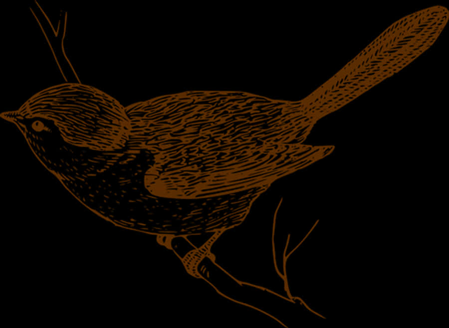 Silhouetted Bird Illustration