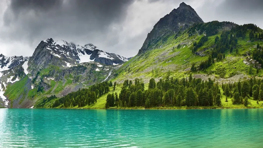 Outdoor Background