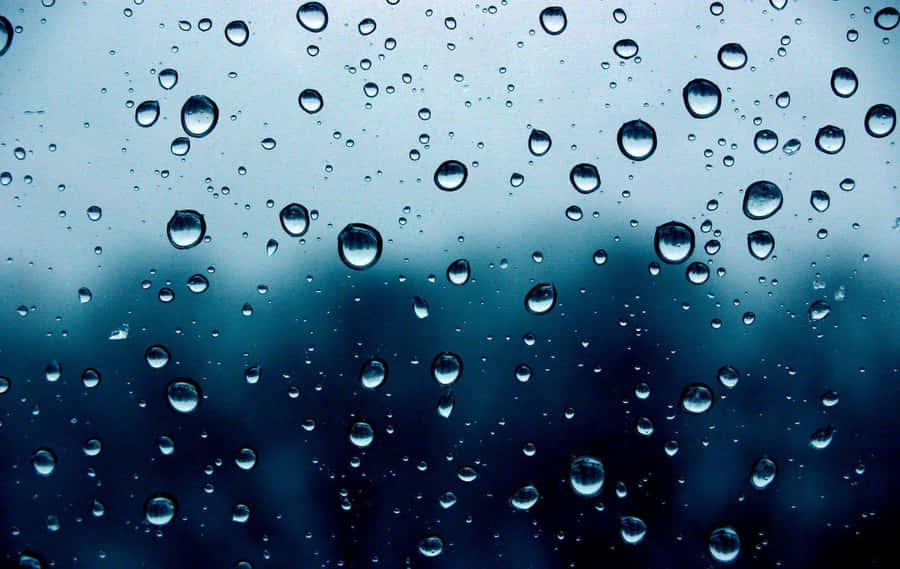 Brilhode Alegria: Um Momento Capturado de Gotas de Chuva Brilhantes