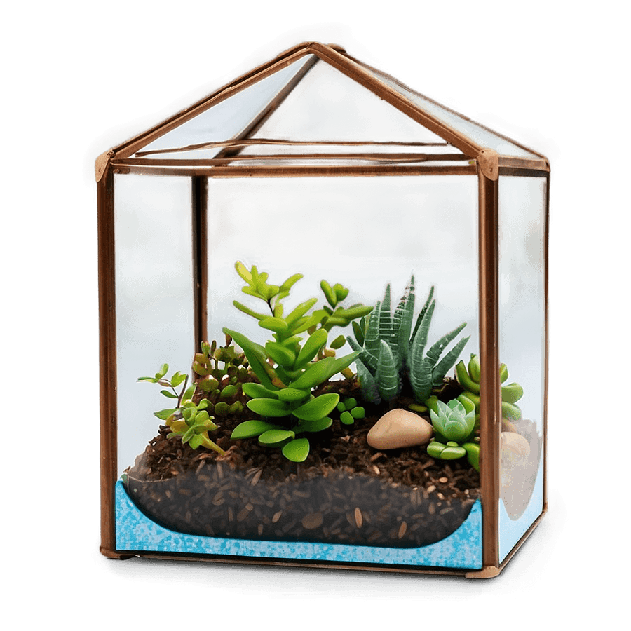 Handmade Glass Terrarium Box PNG tjl