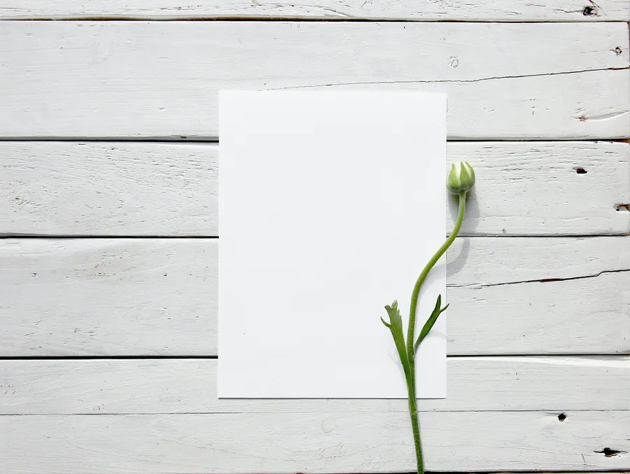 Mockup background