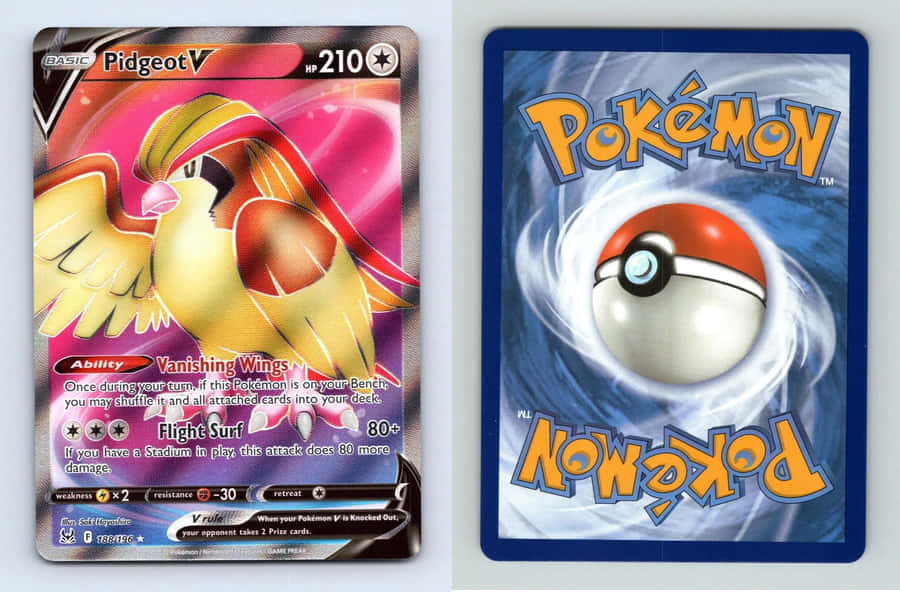 Hintergrundbildder Flug-Pokémon Pidgeot Karte