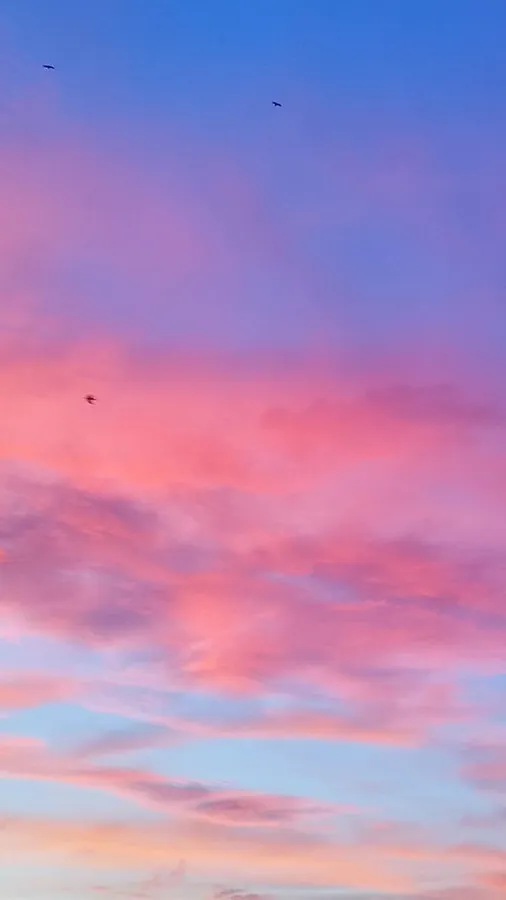 Pink And Blue Clouds