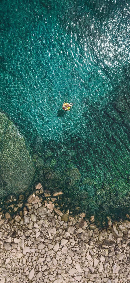 Fångastrålande minnen med Iphone 11 Pro