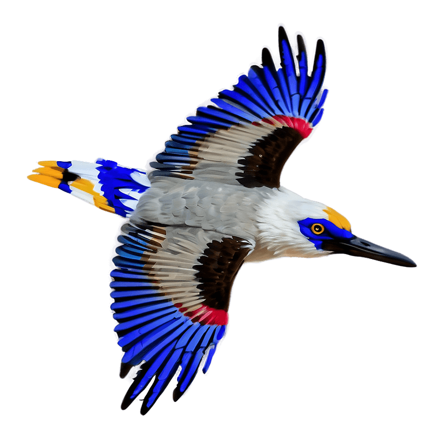 Bird Flight Outline PNG bkc