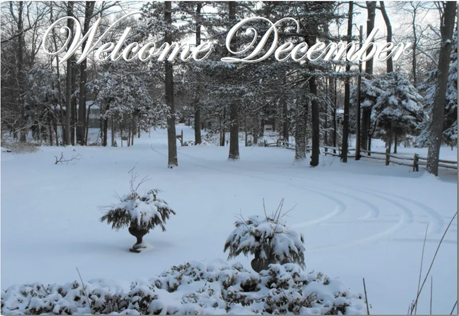 Welcome December