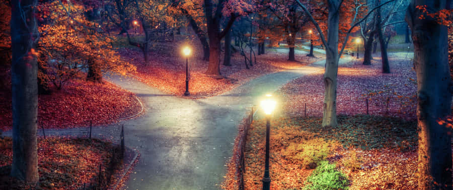 3440x1440 Fall